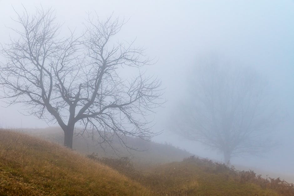 Akıllı Ev Cihazları: Konfor ve Güvenliğin Yeni Adresi