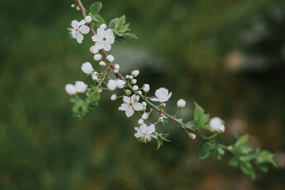 Akıllı Ev Teknolojileriyle Tanışın: Aktüel Fırsatları Kaçırmayın!