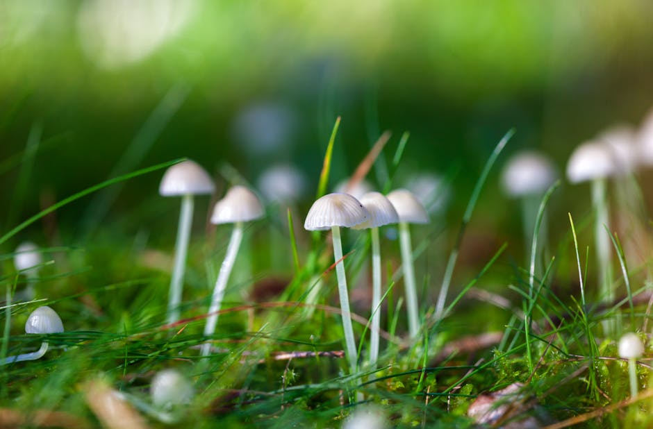 Aktüel Ürünleri Takip Etmenin İncelikleri: Akıllı Alışverişin Sırları