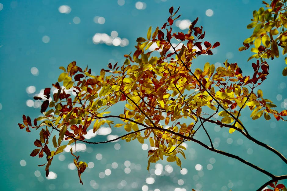 Dijital Çağda Anlamlı Bir Hayat Kurmak: Bilinçli Yaşamın Yolları