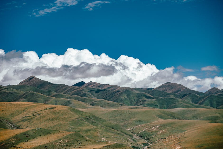 Dijital Çağda İnsan Kalmak: Bilinçli Yaşamın Sırları