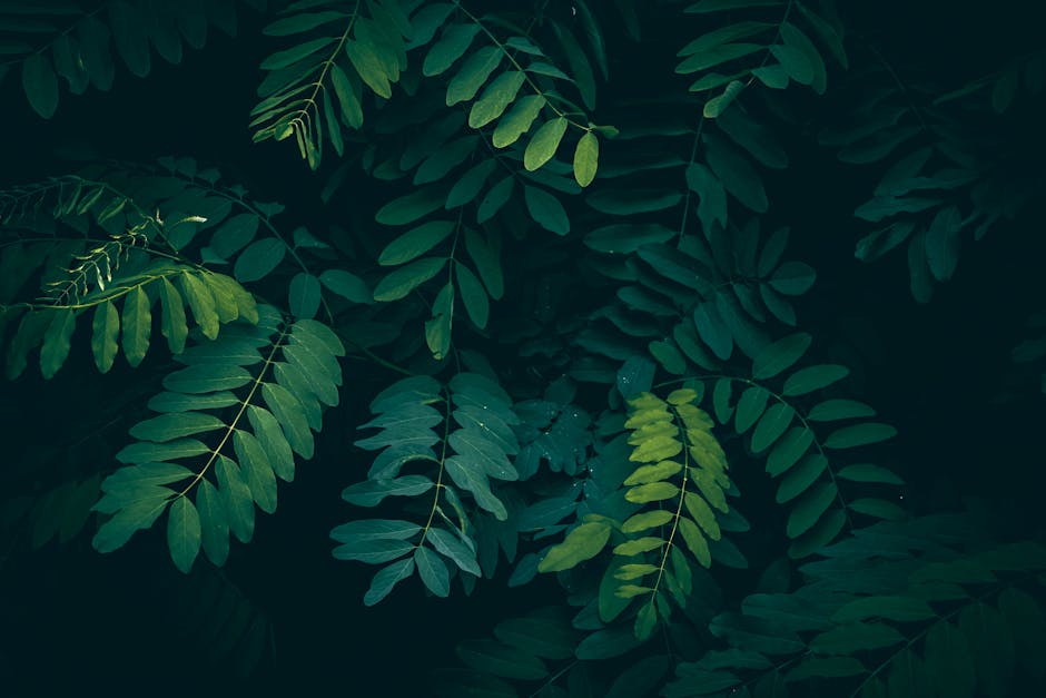 Dijital Çağda İnsan Kalmak: Zihinsel Sağlığımızı Nasıl Koruruz?