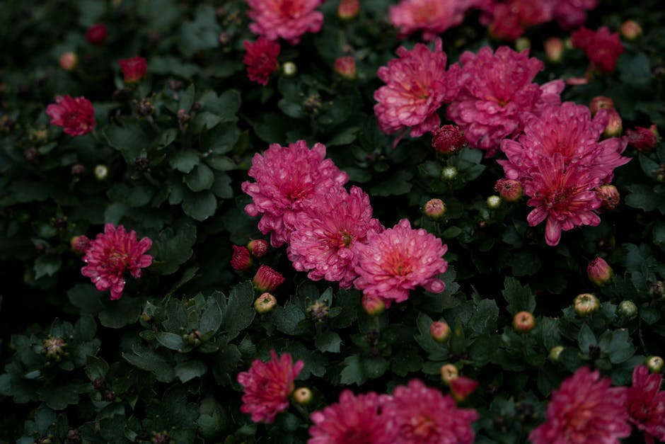 Dijital Çağda İnsan Olmak: Bağlantıda Kalırken Kendimizi Kaybetmemek