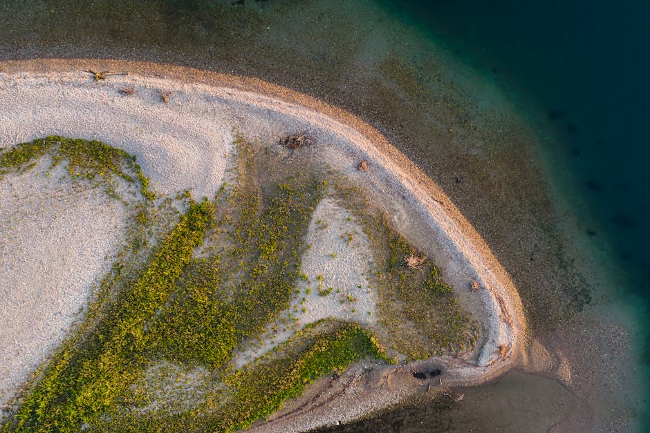 Dijital Çağda Veri Güvenliği: Neden Herkes Bilmeli?