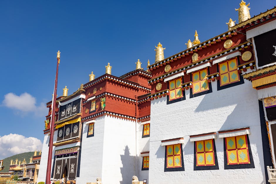 Dijital Çağda Zihin Sağlığını Korumak: Bilgi Yükü ve Bağlantı Yorgunluğuyla Başa Çıkma Rehberi