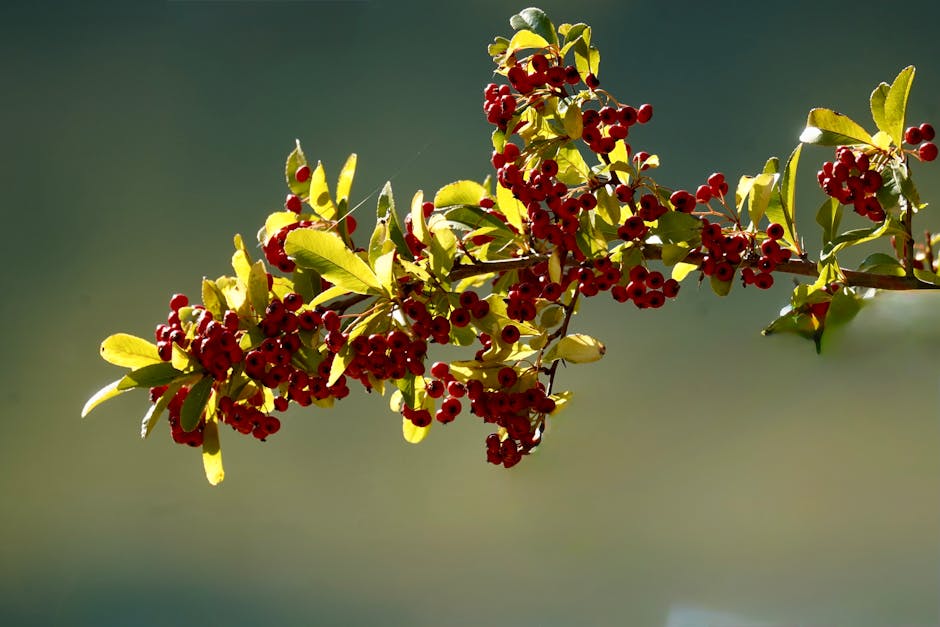 Dijital Dünyada Güvenliğinizi Adım Adım Nasıl Sağlarsınız?