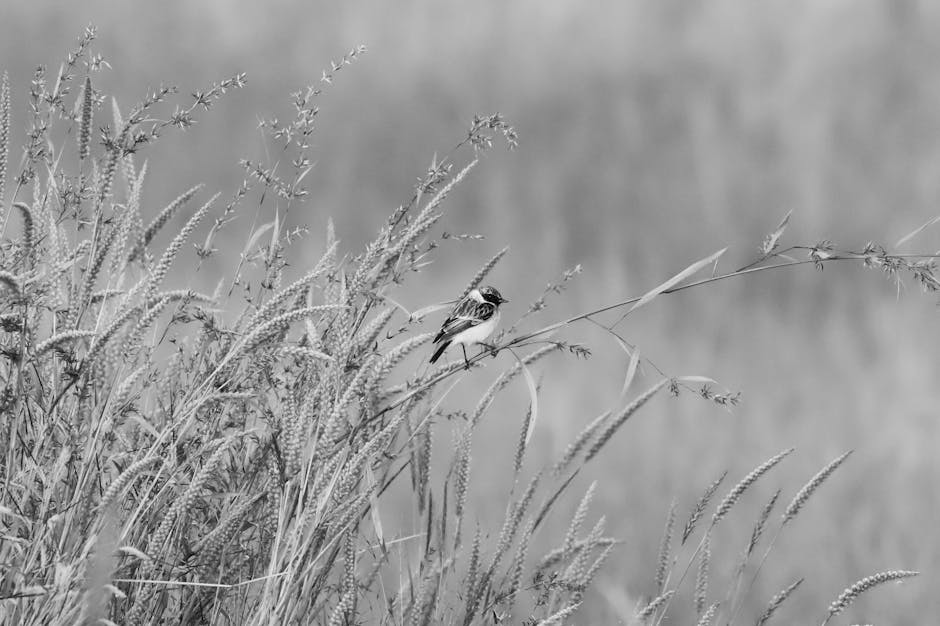 Etkili Zaman Yönetimi Nasıl Sağlanır?