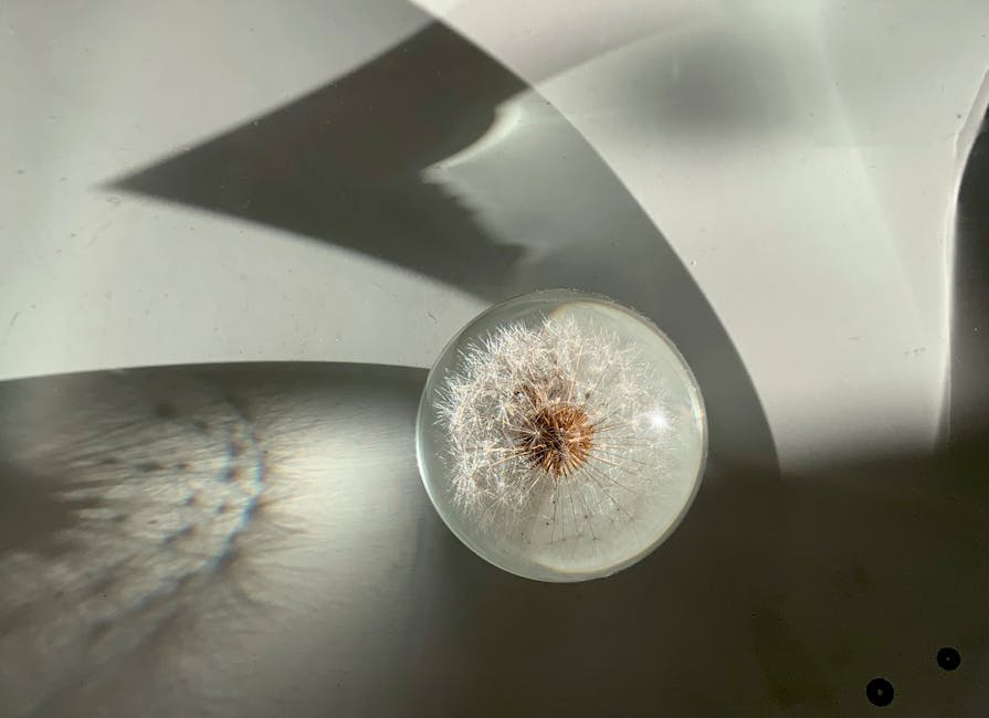 Evde Kendi Bitki Bahçenizi Kurmak: Başlangıçtan Hasata Kapsamlı Rehberiniz