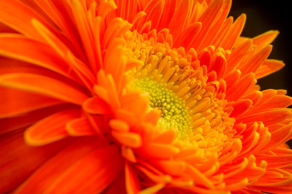 Evde Kendi Bitkisel Sabununuzu Yapın: Doğal ve Kişiselleştirilmiş Bakım!