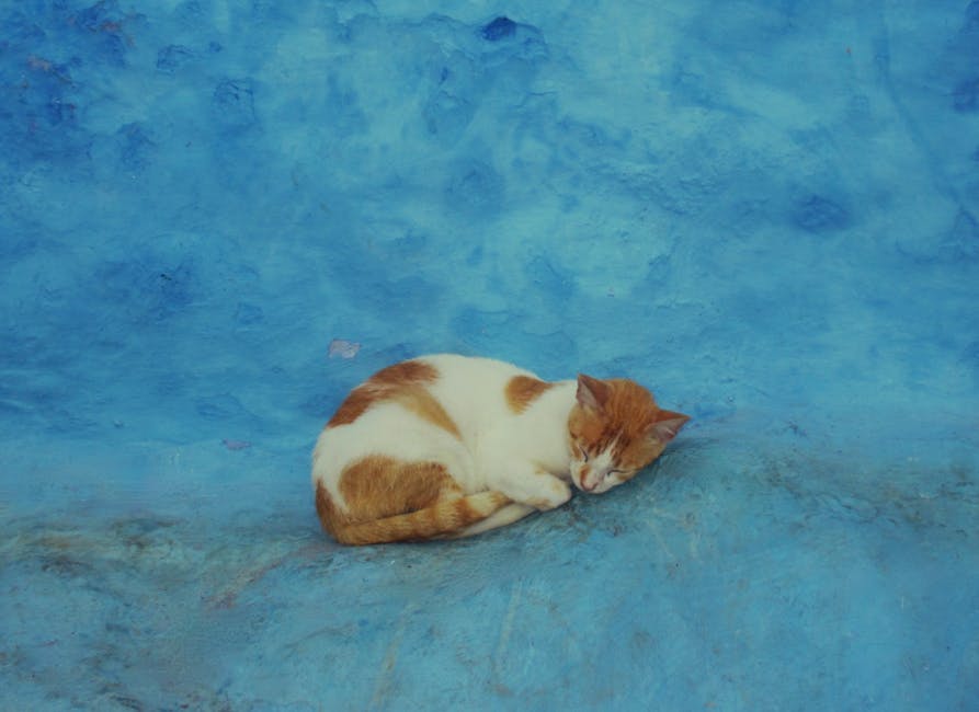 Kendi Bütçenizi Etkili Bir Şekilde Yönetme ve Akıllıca Tasarruf Etme Sanatı