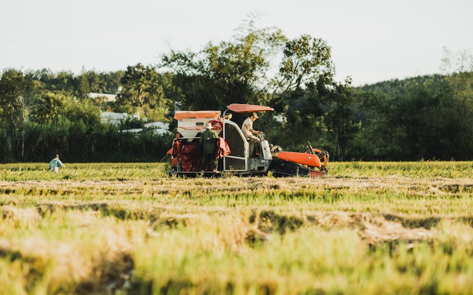 Kendi Blogunuzu Nasıl Kurar ve Etkili İçerikler Üretirsiniz?