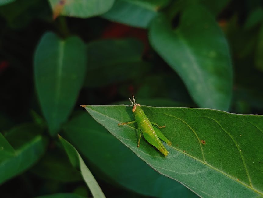 Portre Fotoğrafçılığının Sırları: Duygu ve Teknik Birlikteliği