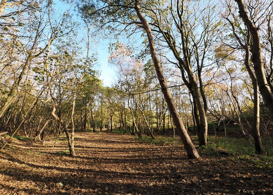 Sıfırdan Başarılı Bir Online Mağaza Nasıl Açılır?