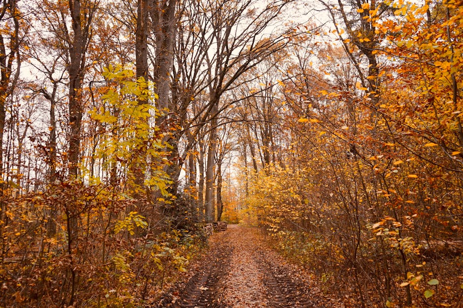 Sürdürülebilir Bir Gelecek İçin Adım Adım: Sürdürülebilir Yaşamın Sırları