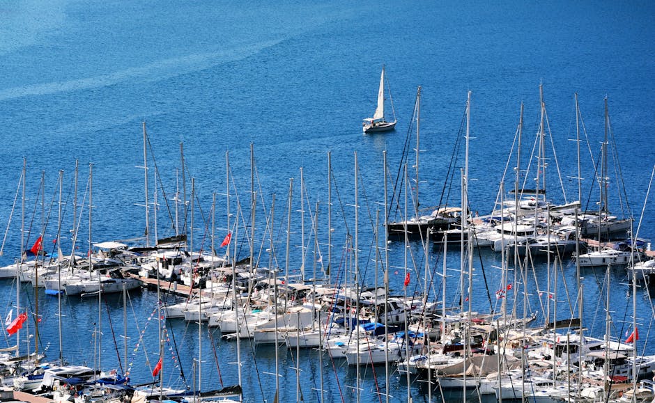 Sosyal Medya Detoksu: Dijital Dinginliğe Yolculuk