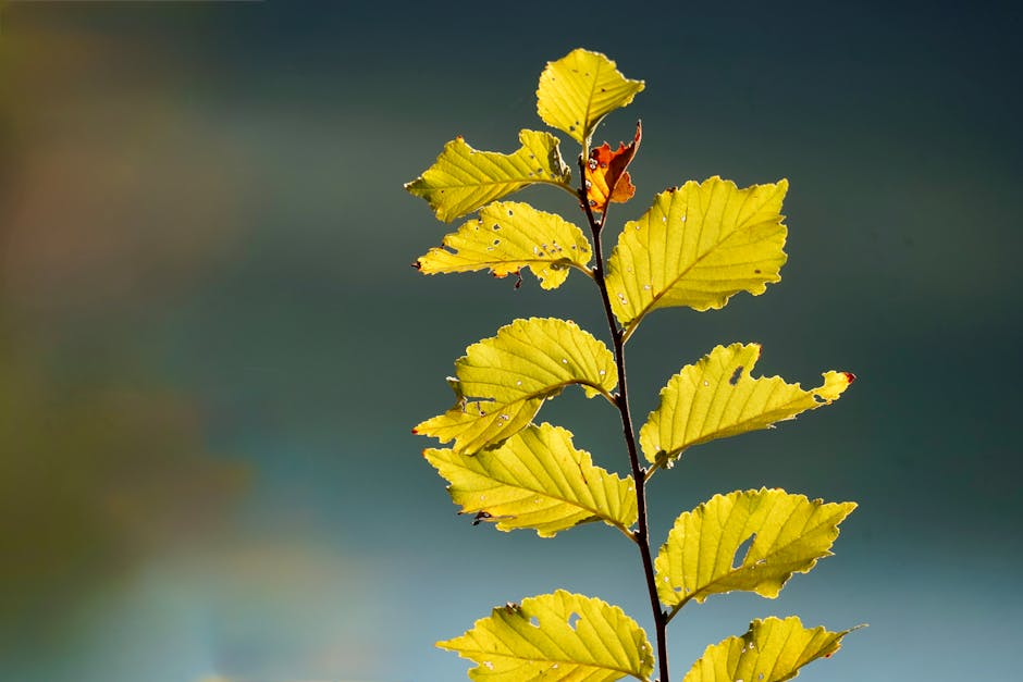 Sosyal Medya Pazarlamasında Yapay Zeka Devrimi: Geleceğin Stratejileri