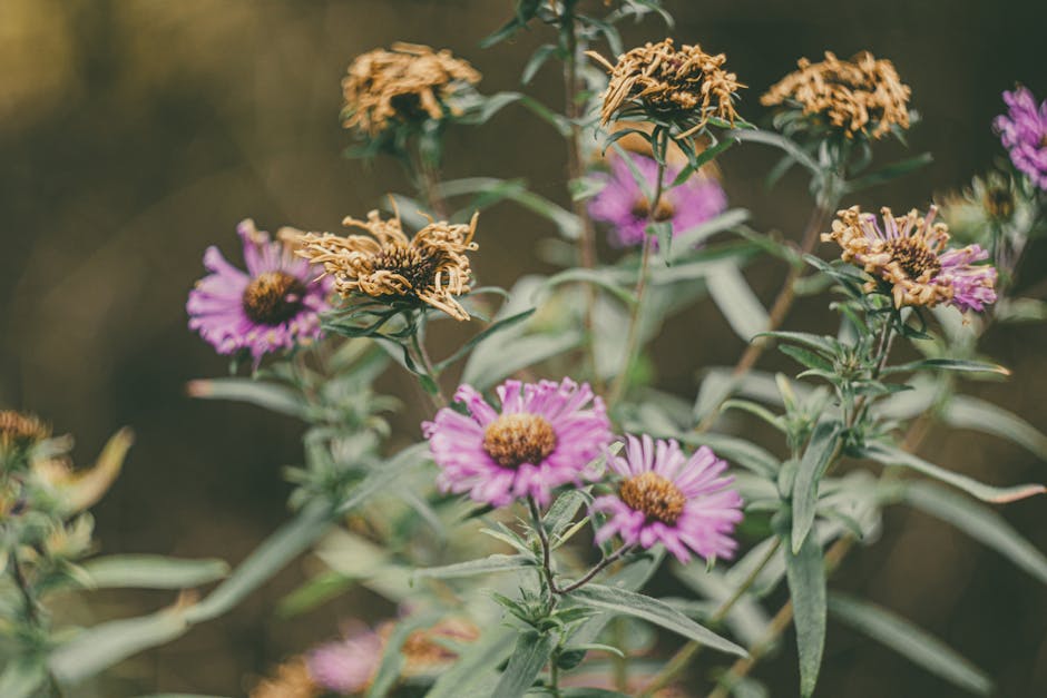 Sosyal Medya Pazarlamasında Zirveye Ulaşmanın Altın Kuralları