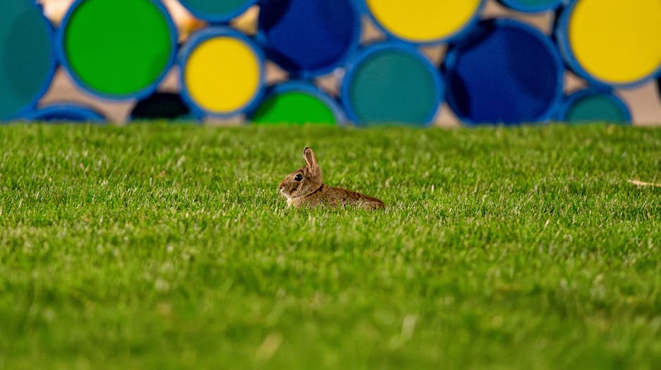 Sosyal Medyada Akılda Kalıcı Bir Marka Kimliği Oluşturma ve Yönetme Sanatı