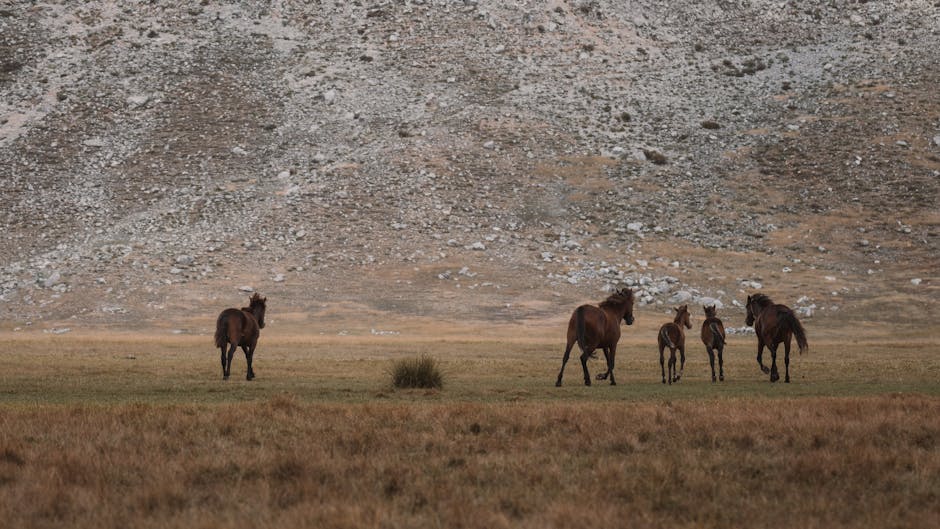 Sosyal Medyada Etkileşim ve Topluluk Oluşturma Sanatı