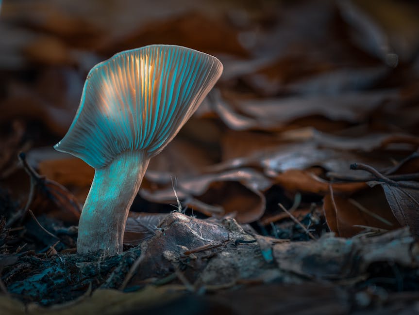 Yapay Zeka Devrimi: Geleceği Şekillendiren Teknoloji