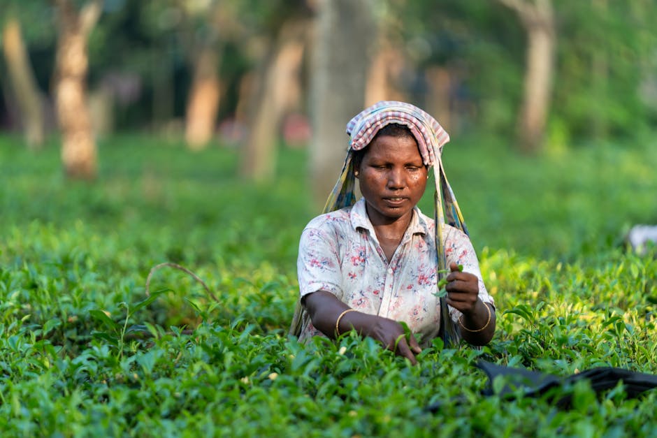 Yapay Zeka: Geleceğin Anahtarı ve Hayatımıza Dokunuşları