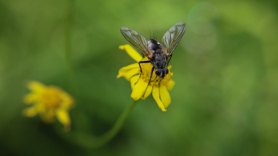 Yapay Zeka: Hayatımızın Görünmez Mimarı ve Geleceğin Anahtarı