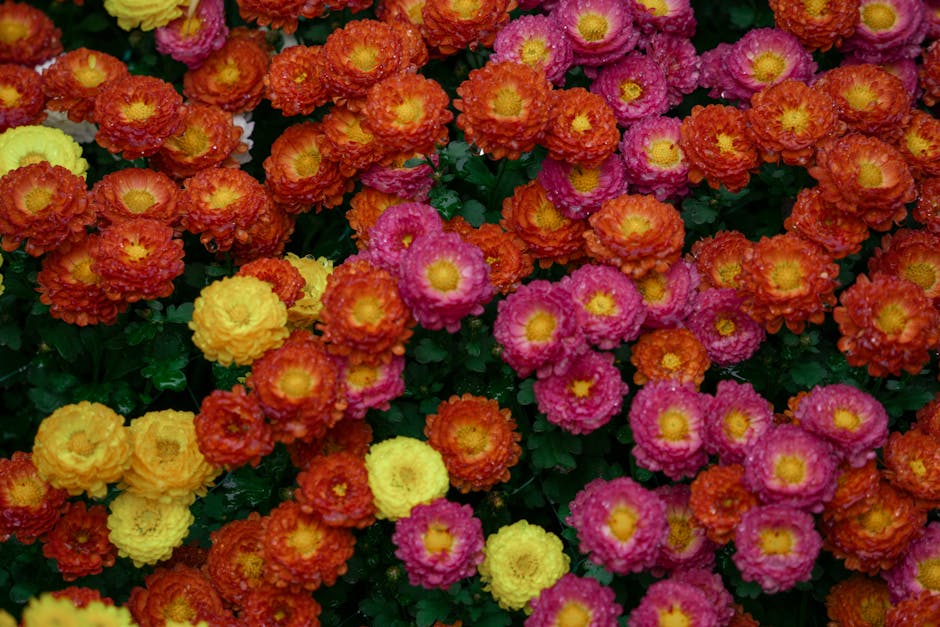 Yapay Zeka: İnsanlığın Geleceğini Şekillendiren Teknoloji