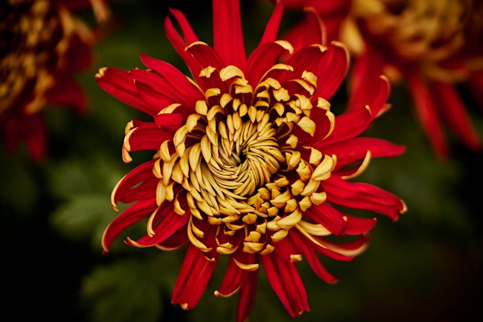 Yapay Zeka ve Geleceğimiz: Dönüştürücü Bir Güç